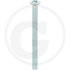 Linsensenkschr.din966,Vz,Ph2,M05X060,Ve1 Granit 485966 05X060 48V